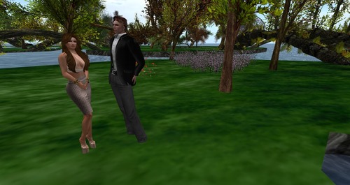 Web 5599fa73128cc97f5f000001