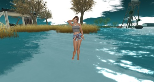 Web 559a9a1ca73e215503000001