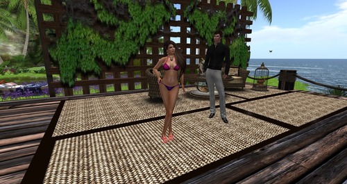 Web 559def178da572783c000001