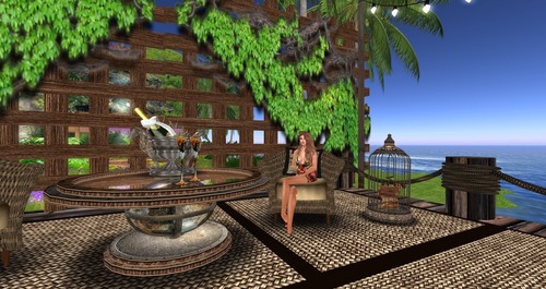 Web 559f09038da5727093000001