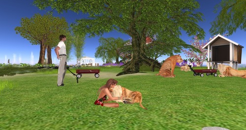 Web 559f32fd128cc92ea2000001