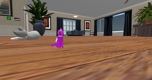 Web 55a7d0e3f8a1ec2ee7000001