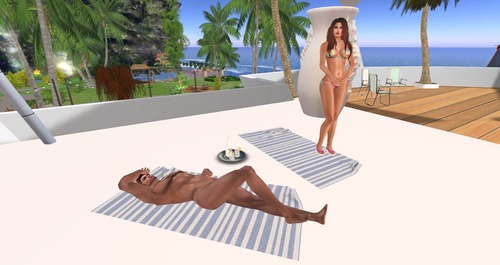 Web 55a8522fa73e211e77000001