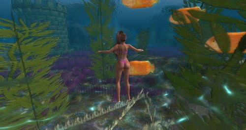 Web 55a8799e128cc91cd1000001