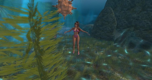 Web 55a879eda73e2136a9000001