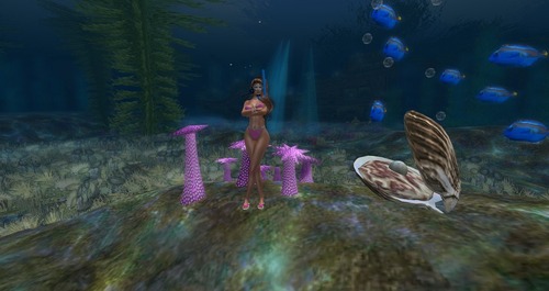 Web 55a87c30f8a1ec1213000001