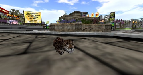 Web 55a983848da5725d21000001