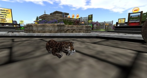 Web 55a983b8a73e214188000001