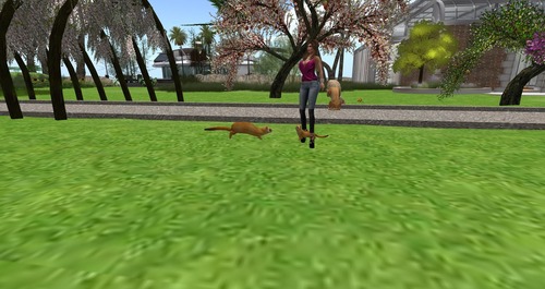 Web 55ad12ddf8a1ec3e67000001