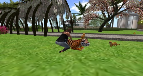 Web 55aeb3dcf8a1ec5fb5000001