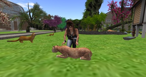 Web 55aeb5688da572483a000001