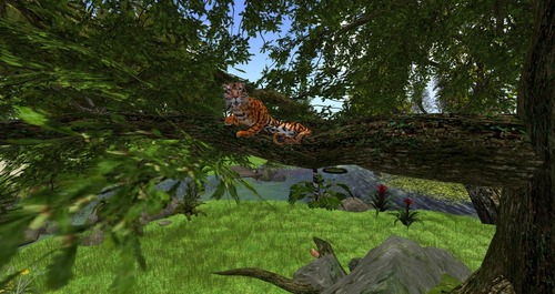 Web 55b08a32a73e212a88000001