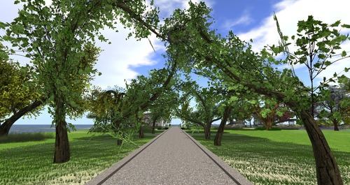 Web 55b11f29128cc90cf0000001