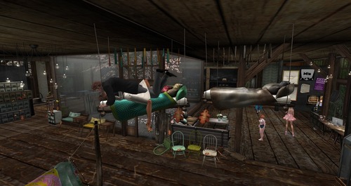 Web 55b2cdf3a73e210d65000001