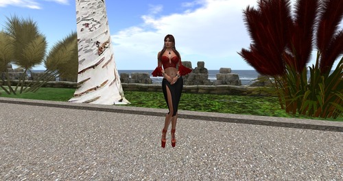 Web 55b37015128cc97dc0000001