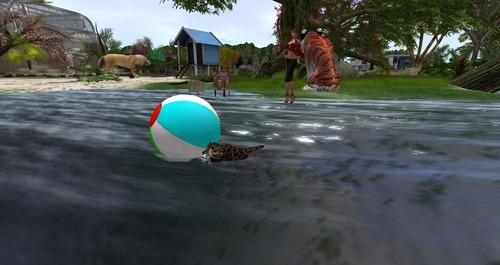 Web 55b396fd128cc92487000001