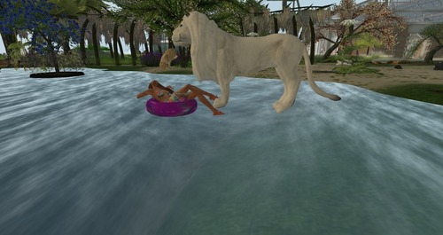 Web 55b39b58128cc93bed000001