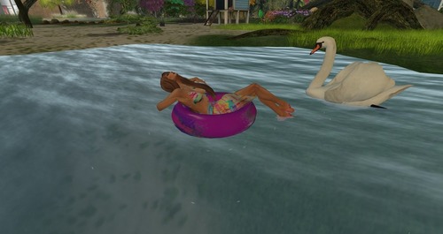 Web 55b39b978da5720aef000001