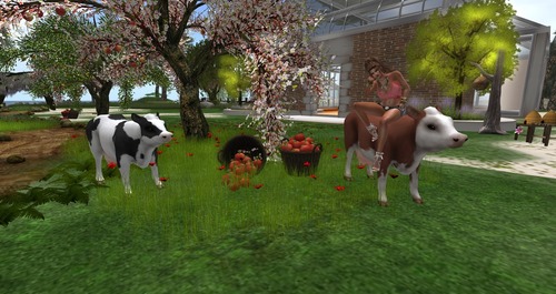 Web 55b4322e8da572407d000001