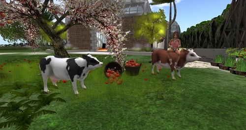 Web 55b43298128cc94c00000001