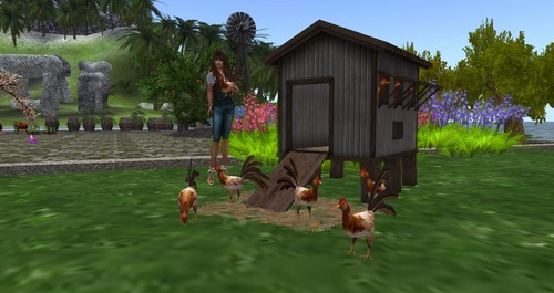 Web 55bbe0208da5727455000001