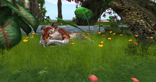 Web 55bbff3ff8a1ec29cc000001