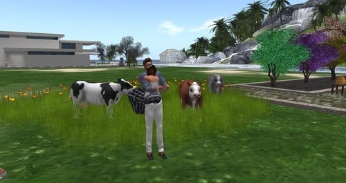 Web 55bc0128128cc90f0d000001