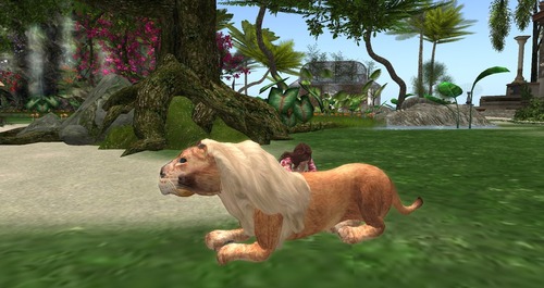 Web 55bc57f4128cc95a62000001