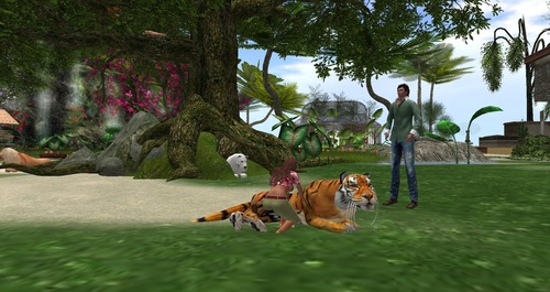 Web 55bc5a9a8da57226db000001