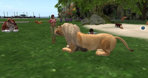 Web 55bc5b628da5722d9b000001