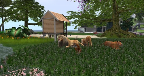 Web 55bc628ca73e2173dc000001