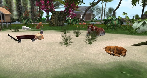 Web 55bc62a9f8a1ec1ceb000001