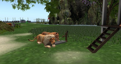 Web 55bc62d2128cc91059000001