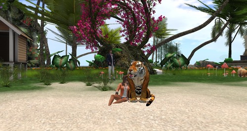 Web 55bce736a73e21729f000001