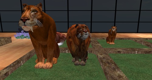 Web 55bd032ca73e214754000001