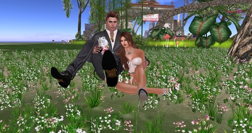 Web 55be2f7e8da57278ba000001