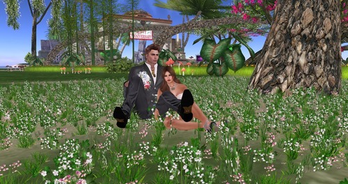 Web 55be38d68da5723e86000001