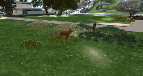 Web 55c25f22f8a1ec4ee2000001