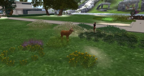 Web 55c260518da5724adb000001