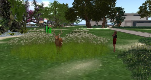 Web 55c261bb128cc91dc4000001