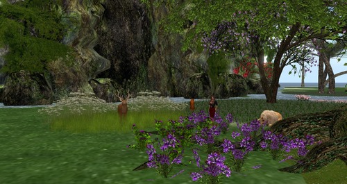 Web 55c2624df8a1ec6b02000001