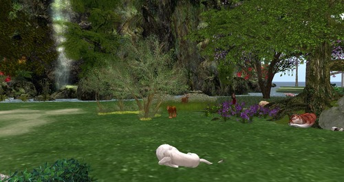 Web 55c2635f128cc9289f000001