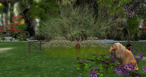 Web 55c2648d8da5726a7e000001