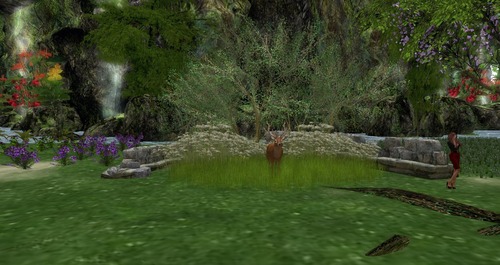 Web 55c2662d8da5727a41000001