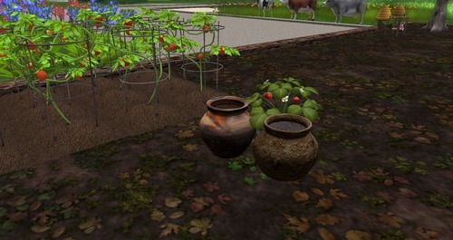 Web 55c26c92f8a1ec3a6f000001