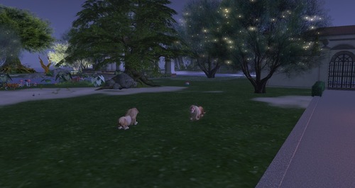 Web 55c2fdff8da5725f76000001