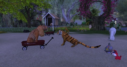 Web 55c2ff85a73e216e2a000001