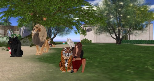 Web 55c33511128cc93891000001