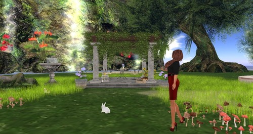 Web 55c347f2a73e21307a000001