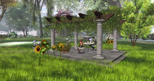 Web 55c36d108da5725cfd000001